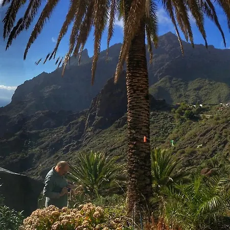 Masca For Backpackers * Alcala (Tenerife)