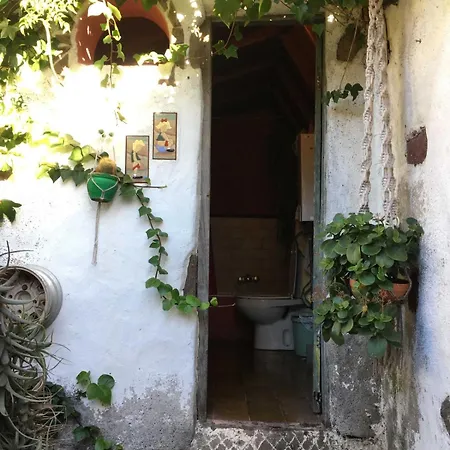 Masca For Backpackers Apartment Alcala (Tenerife)